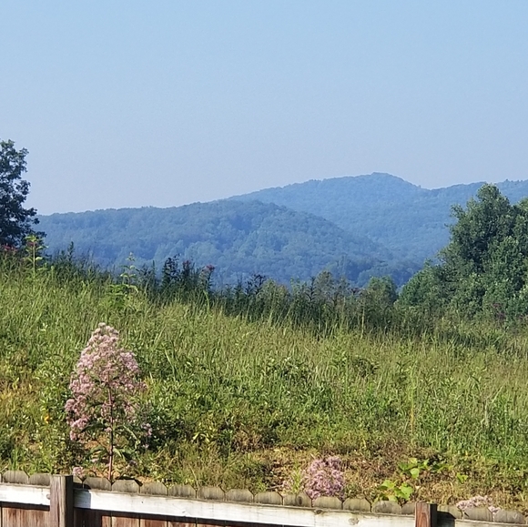 Plus size clothes, bags, shoes, dog stuff! - Picture 1 of 1